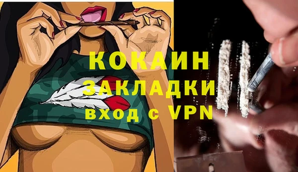 сатива Нея